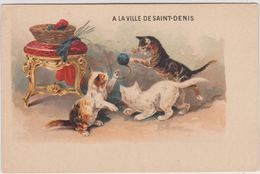 93,SEINE SAINT DENIS,1900,PARIS,RUE DE PARADIS,FOUBOURG SAINT DENIS,CHAT,CAT,JEU,JOUEUR,PELOTTE - Cats