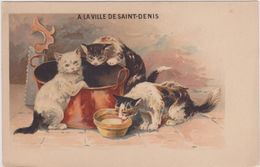 93,SEINE SAINT DENIS,1900,PARIS,RUE DE PARADIS,FOUBOURG SAINT DENIS,CHAT,CAT,GAMELLE,RUE - Cats