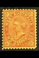 WESTERN AUSTRALIA  1902-11 2s Bright Red On Yellow, Perf. 11, SG 134, Fine Mint, Tiny Black Ink Spot At Tipper Left. For - Other & Unclassified