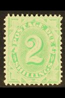 POSTAGE DUE  1902-04 2s Emerald-green Perf 11½,12, SG D20, Very Fine Mint, Fresh. For More Images, Please Visit Http://w - Other & Unclassified