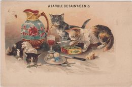 93,SEINE SAINT DENIS,1900,PARIS,RUE DE PARADIS,FOUBOURG SAINT DENIS,CHAT,CAT,GAMELLE,RUE - Cats