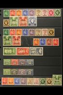 1942-1951 FINE MINT COLLECTION  On Stock Pages, All Different, Inc ERITREA 1948-49 Set Mostly NHM, 1950 Most Vals To 5s, - Italian Eastern Africa