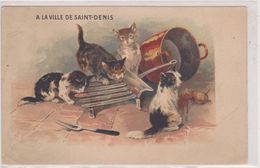 93,SEINE SAINT DENIS,1900,PARIS,RUE DE PARADIS,FOUBOURG SAINT DENIS,CHAT,CAT,GAMELLE,RUE - Cats