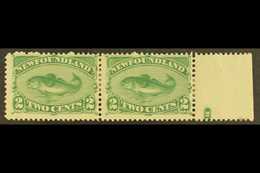 1896  2c Green Cod Fish Re-issue, SG 64, Very Fine Marginal Mint Pair (one With Tiny Hinge Thin Spot). For More Images,  - Altri & Non Classificati