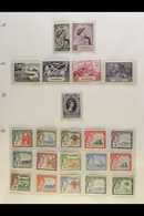 1945 - 1975 FRESH MINT COLLECTION  Highly Complete Mint Collection In Hingeless Mounts On Pages Being NHM From 1961 On A - Gambia (...-1964)