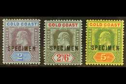 1907-13 SPECIMENS.  3s, 2s6d & 5s Top Values With "SPECIMEN" Overprints, SG 66s/68s, Very Fine Mint. (3 Stamps) For More - Gold Coast (...-1957)