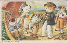 CHAT HUMANISE,CHATTE,CAT,MARIN,MARINE,CAPITAINE,PECHEUR,PIRATE,VIKING,1946 - Chats