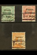 TRENTINO - ALTO ADIGE  1918 -19 Barred "T" Overprint Without Numerals, 5c On 5c, 10c On 10 And 20c On 20c, Sass BZ3/20-2 - Ohne Zuordnung