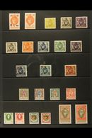 1912-28 VFM PRINCE JOHN COLLECTION  Neatly Presented On Stockpages. Includes 1912 5h And 10h On Glazed Paper Plus 5h On  - Other & Unclassified