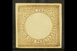 1863  1p Brown Arms SG 16, Scott 13, Mint With Four Margins And Large Part Gum, Small Marginal Tear And Pinhole For More - Peru