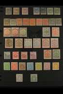 1892-1935 MINT COLLECTION CAT £2000+  Presented On A Pair Of Stock Pages, Mostly Fine Mint & Includes 1892-93 1s & 2s6d, - Altri & Non Classificati