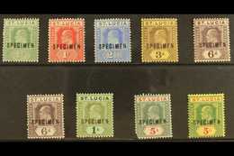 1904 -10  Ed VII Set To 5s, Ovptd "Specimen", SG 65s/77s, Fine To Very Fine Mint, Part Og. 5s Green And Carmine Corner F - St.Lucia (...-1978)