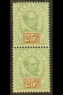 1888-95  25c Green And Brown, SG 18, Superb Mint VERTICAL PAIR, The Lower Stamp Never Hinged. (2 Stamps) For More Images - Sarawak (...-1963)