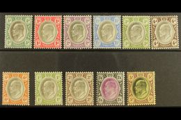 TRANSVAAL  1902 Ed VII Set To 5s Complete, SG 244/54, Very Fine Mint. (11 Stamps) For More Images, Please Visit Http://w - Non Classificati