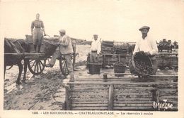 17-CHATELAILLON-PLAGE- LES BOUCHOLEURS- LES RESERVOIRS A MOULES - Châtelaillon-Plage