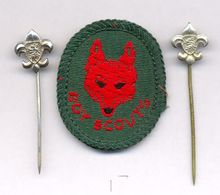 Boy Souts: Wolf Cub Cup Badge And Two Pin Badges For Boy Scouts With Image Of Wolf, Around 1935 / 2 Scans - Movimiento Scout