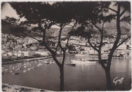 MONACO,Monté Carlo,PRINCIPATU DE MUNEGU, LE PORT EN 1951,PHOTO GREFF - Autres & Non Classés