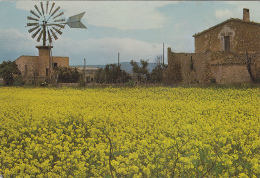 Architecture - Moulin à Vent - Mallorca - Eolienne - Granja Mallorquina - Invasi D'acqua & Impianti Eolici