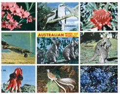 (200) Australia - Wildlife - - Outback