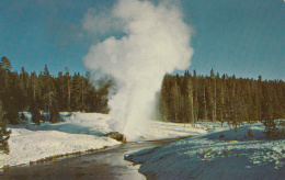 Riverside Geyser - Yellowstone National Park - Billings