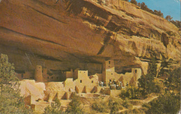 Cliff Palace - Mesa Verde National Park - Mesa Verde