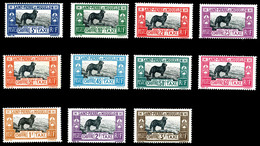 * SAINT PIERRE ET MIQUELON, Taxe, N°21/31, Série De 11 Valeurs, Chien De TerreNeuve. TB   Qualité: *   Cote: 210 Euros - Used Stamps