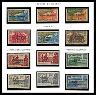 N COLONIES FRANCAISES, CAMEROUN, Collection De Timbres Neuf */** Présentée En Pages D'Album MOC. TB   Qualité: N   Cote: - Colecciones