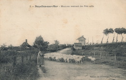 ( CPA 80 ) NOYELLES-SUR-MER  /  Moutons Rentrant Des Prés Salés - - Noyelles-sur-Mer