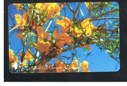 OMAN - MPTT -  FLOWERS: TECOMELLA UNDULATA   - USED  -  RIF.  10343 - Fleurs