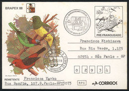 173 BRAZIL: RHM.BP-167 Postal Card, Brapex 88 (topic Birds), Used On 18/DE/1988, Very Rare, Unfortunately With Stain Spo - Interi Postali