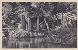 Giethoorn  (pk45352) - Giethoorn