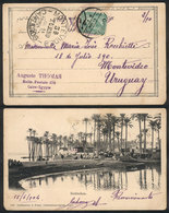 880 EGYPT: Postcard (view Of The Bedrechen Oasis) Sent From Cairo To Uruguay On 5/JUN/1904, VF, Rare Destination! - Autres & Non Classés