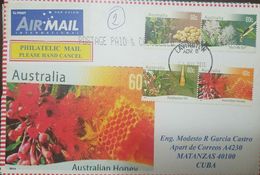 L) 2011 AUSTRALIA, EUCALYPTUS OIL, AUSTRALIAN HONEY, TEA TREE OIL, NATURE, AIR MAIL, CIRCULATED COVER FROM AUSTRALIA TO - Storia Postale
