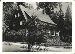 41235691 Waldidylle Haus Sonnenhof, Erzgebirge Altenberg - Altenberg