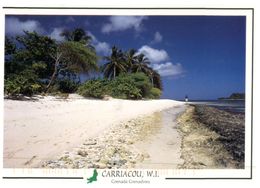 (915) Grenada - Grewnadine - Beach - Grenada