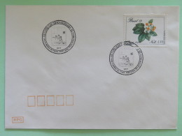 Brasil 1990 FDC Cover - Flowers - Covers & Documents