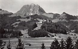 Gruyères Et Le Moléson - Gruyères