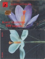 ALBANIA. ALB-43. FLOWERS. 100U. 08-1999. (034) - Albanien