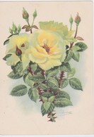 URSS 1958  ENTIER POSTAL CARTE THEME ROSES - 1950-59