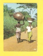 Postcard - Togo   (V 32860) - Togo