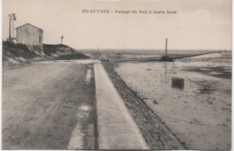 BEAUVOIR  PASSAGE DU GOA  A MAREE BASSE - Ile De Noirmoutier