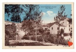 Delcampe - 06281-LE-85-CHANTONAY-Pont Charron - Chantonnay