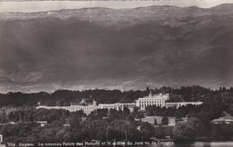 CARTOLINA - POSTCARD - SVIZZERA - GENE'VE - LE NOUVEAU PALAIS DES NATIONS ET LA CHAUNE DU JURA VU DE COLOGNY - Cologny