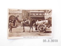 Aden. - Camel Water Cart. - Yemen