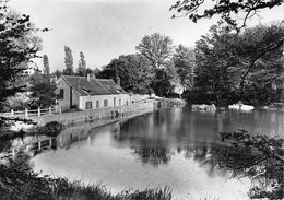 78-CERNAY-L'ETANG DE VAUX - Cernay-la-Ville