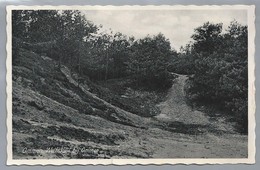 NL.- Ommen Wolfskuil Bij Ommen. Uitg.: Hotel Pension Stegeman. 1937. - Ommen