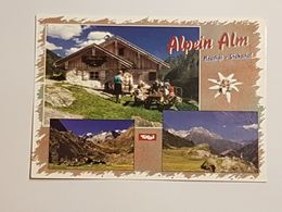Alpein Alm,  Gelaufen 2004 //H4 - Neustift Im Stubaital