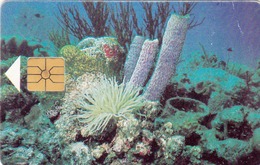 ANTILLES BONAIRE - Coral Reefs (Black Chip) , 60 U, 10/97, Used - Antilles (Neérlandaises)