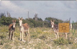 ANTILLES BONAIRE - Donkeys (Black Chip) , 20 U, 1999, Used - Antille (Olandesi)