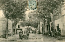 Entraigues Avenue De La Poste Circulee En 1905 - Entraigue Sur Sorgue